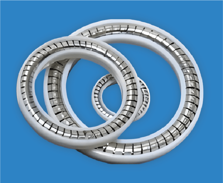 SPRING ENERGIZED LIP SEAL